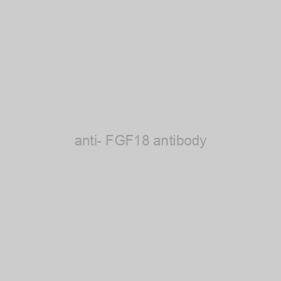 FN Test - anti- FGF18 antibody